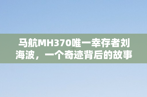 马航MH370唯一幸存者刘海波，一个奇迹背后的故事，MH370幸存者刘海波，奇迹背后的故事